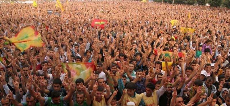 amed-